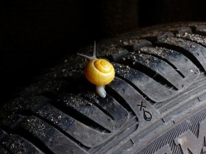 tire with snail