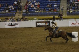 girl riding a horse in rodeo